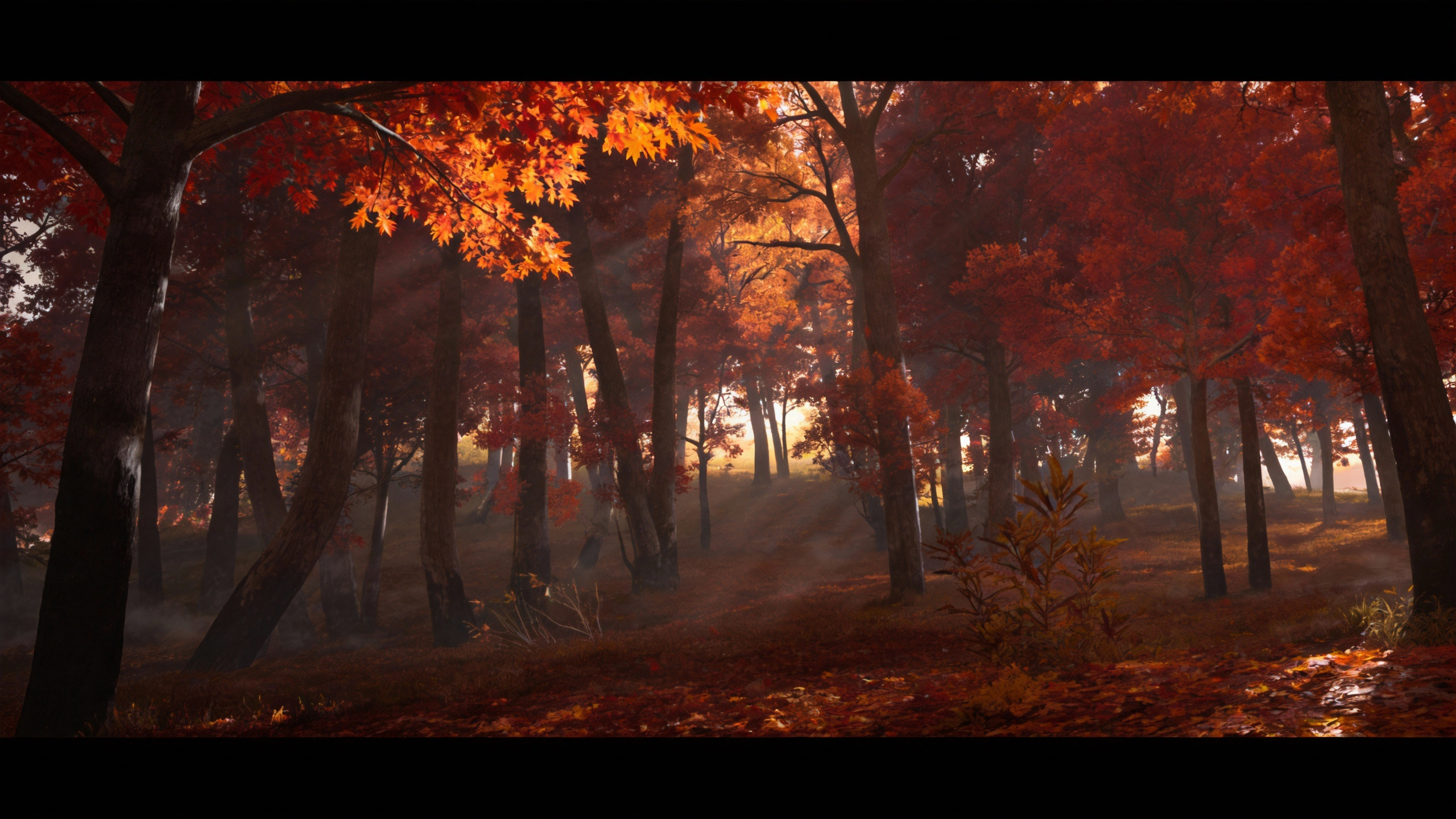 Maple leaf forest
